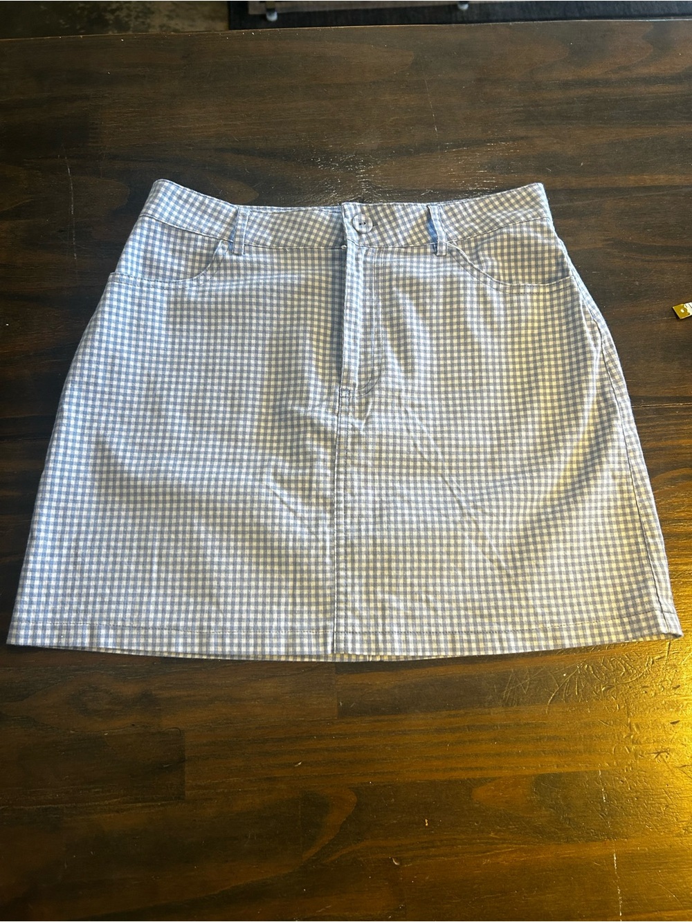 F21 Classic Blue Gingham A-Line Skirt